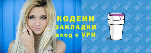 дживик Богородск