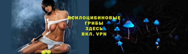 индика Бородино