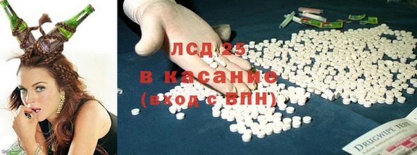 дживик Богородск