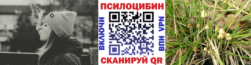 купить   Свободный  это Telegram  Галлюциногенные грибы Cubensis 